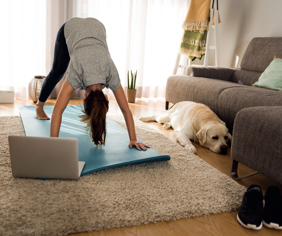 Position your virtual library to support your brick-and-mortar yoga ...